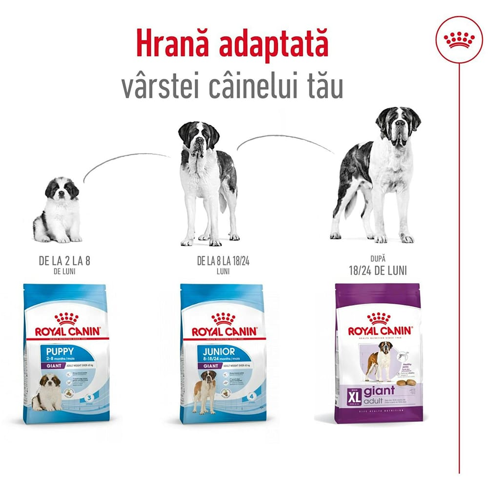 Hrana uscata pentru caini ROYAL CANIN SHN Giant, Adult, Pasare, 15 kg