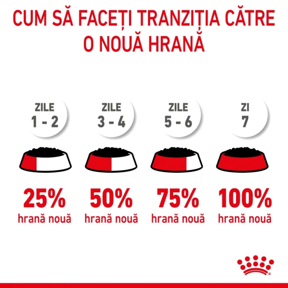 Hrana umeda pentru caini ROYAL CANIN SHN Starter Pate, Junior, Mix, 12 x 195g