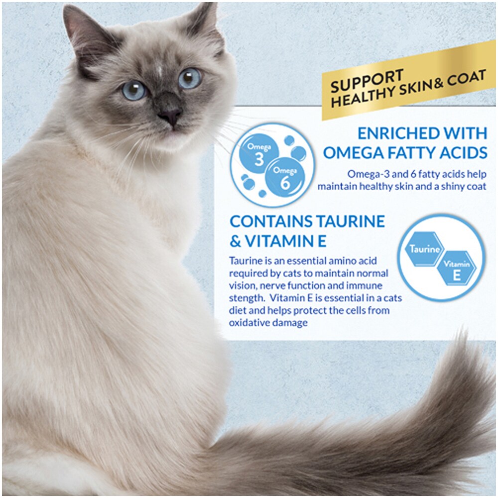 Recompense pentru pisici INABA Churu Skin & Coat, Pui si scoici, 20 x 14 g