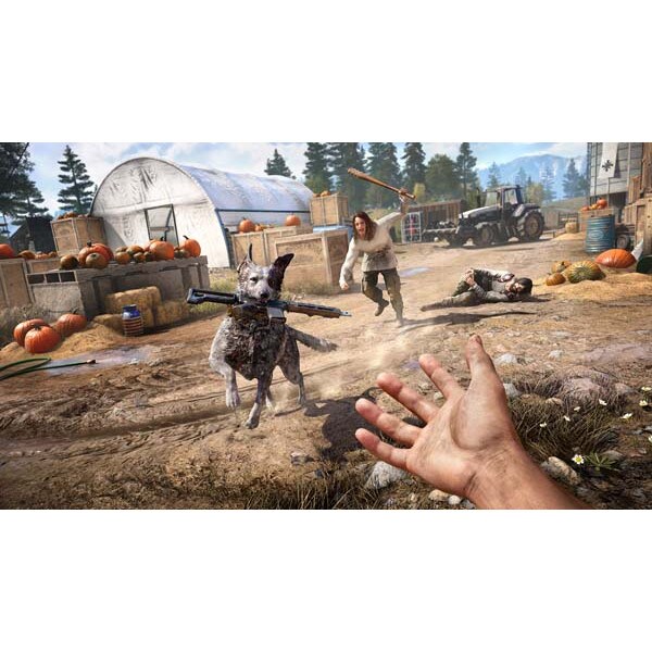 Joc Far Cry 5 Deluxe Edition PS4