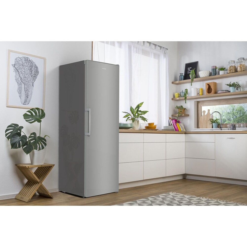 Frigider cu o usa GORENJE R619FES5, 398 l, H 185 cm, Clasa F, argintiu