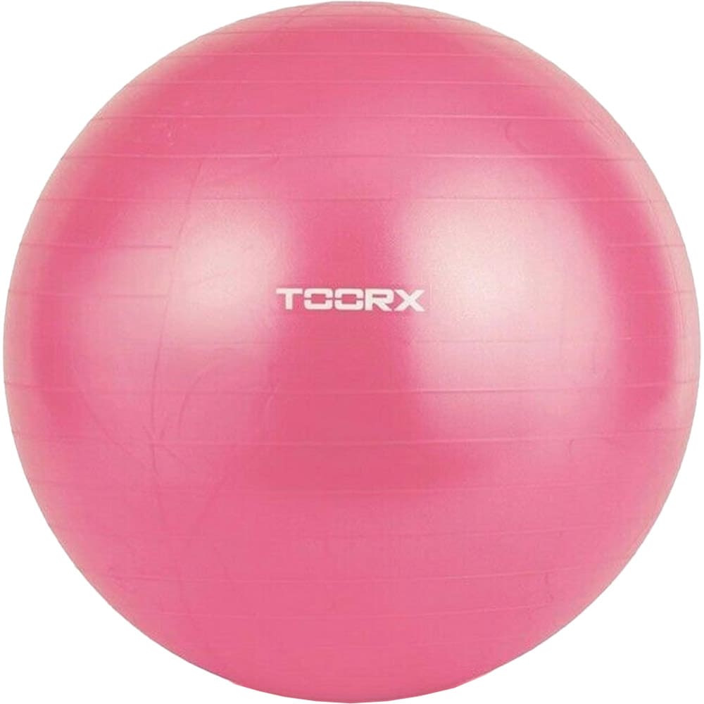 Minge gimnastica TOORX AHF069, 55 cm, roz