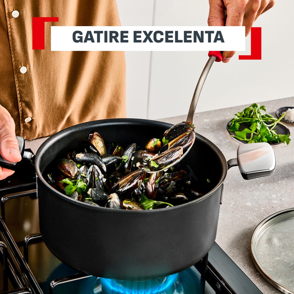 Oala cu capac TEFAL Excellence+ G3285353, 8.4l, 28 cm, aluminiu, negru