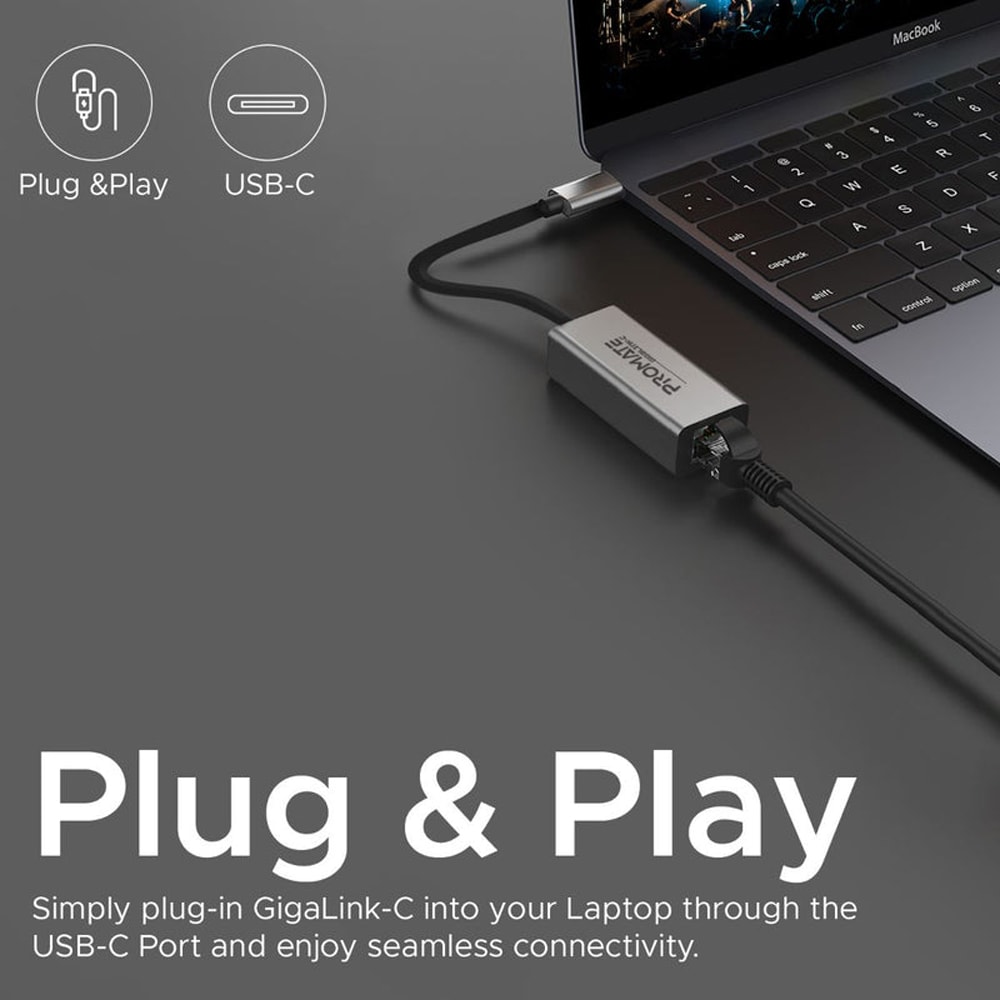 Adaptor USB-C - RJ45 PROMATE Gigalink-C, gri
