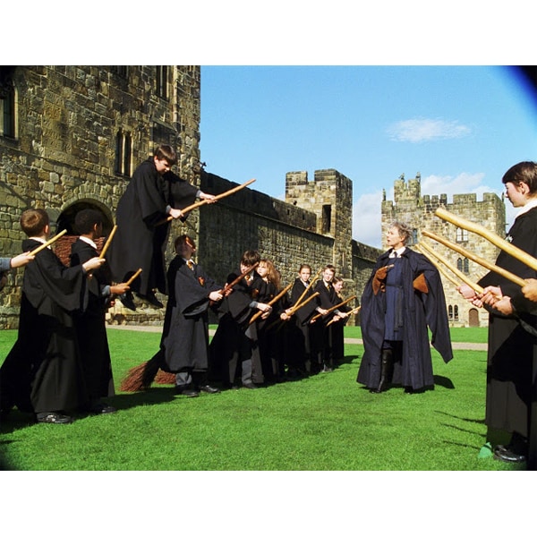 Harry Potter si Piatra Filozofala Blu-ray Editie Iconica