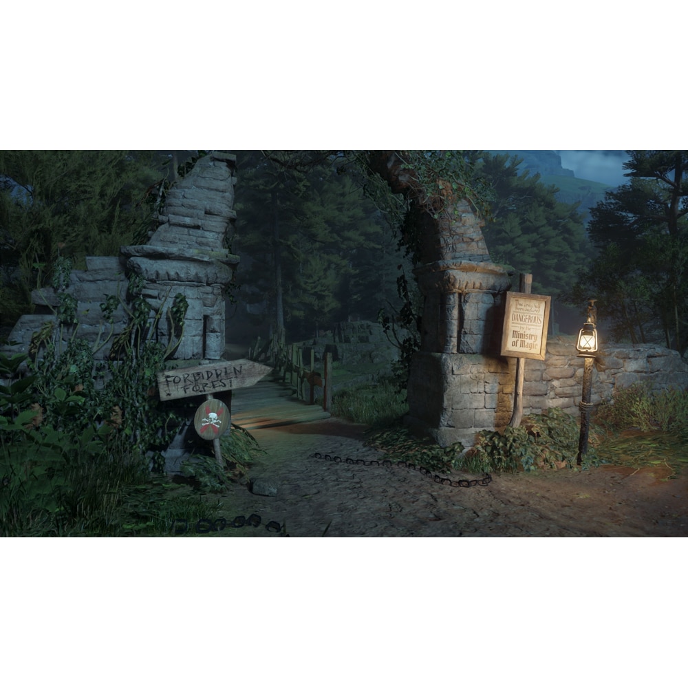 Joc Hogwarts Legacy Nintendo Switch 2 (Game-Key Card)