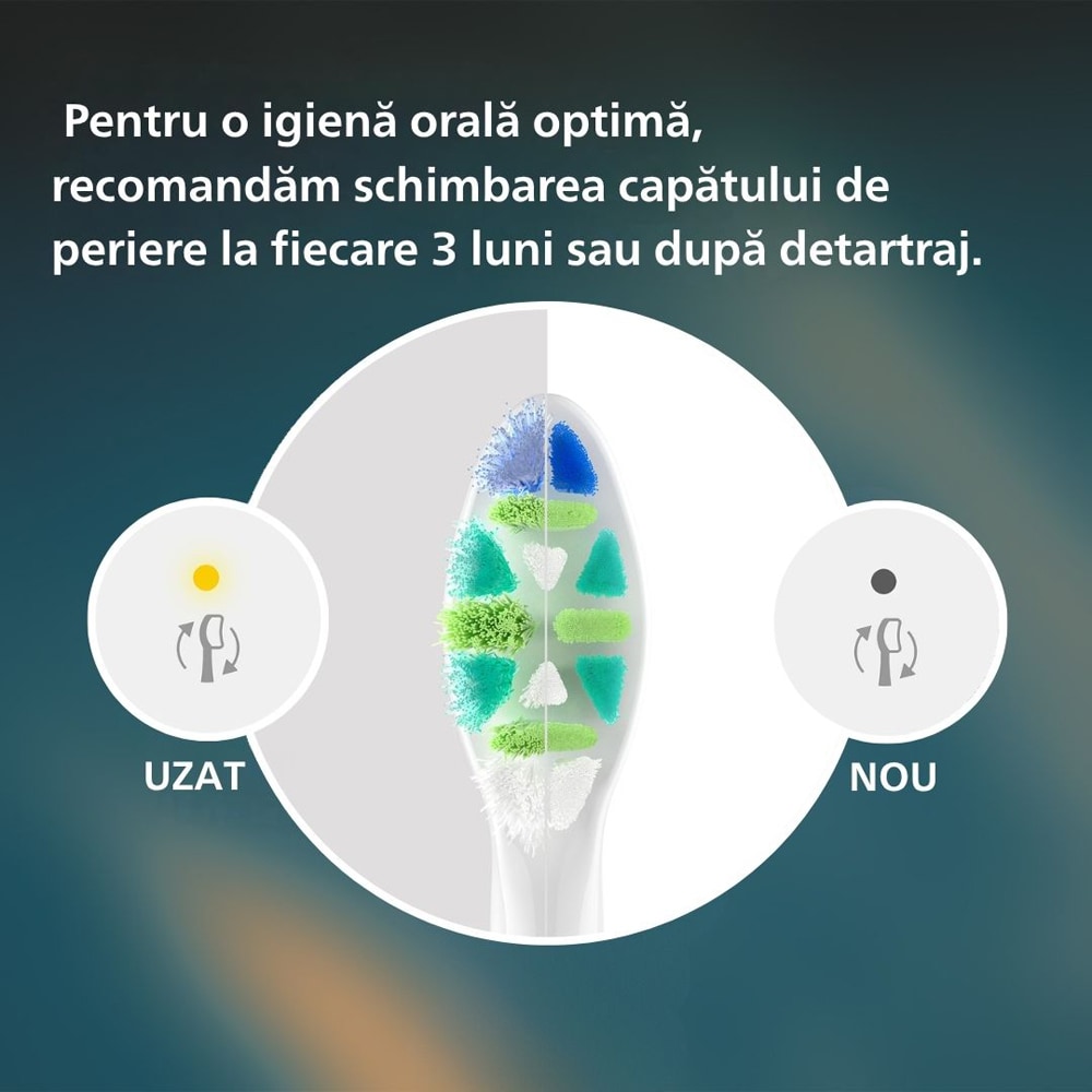 Periuta de dinti electrica PHILIPS Sonicare HX4022/04, 31000 miscari/min, 1 program, 2 capate, albastru