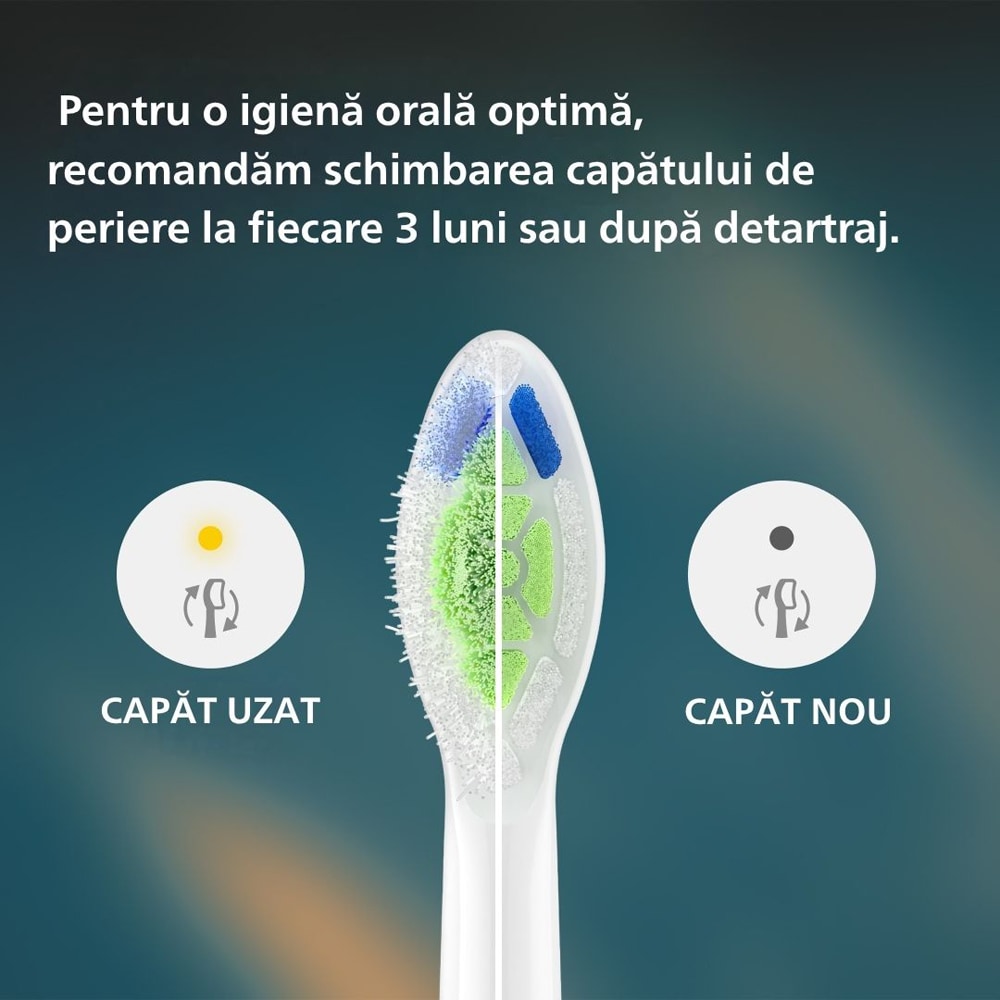 Periuta de dinti electrica PHILIPS Sonicare HX4033/21, 31000 miscari/min, 3 programe, 1 capat, alb