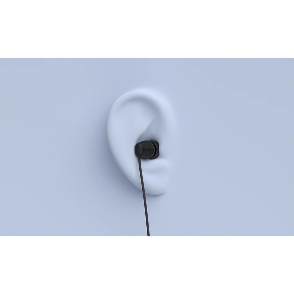 Casti SONY IER-EX15CB, Cu Fir, In-Ear, Microfon, USB-C, negru