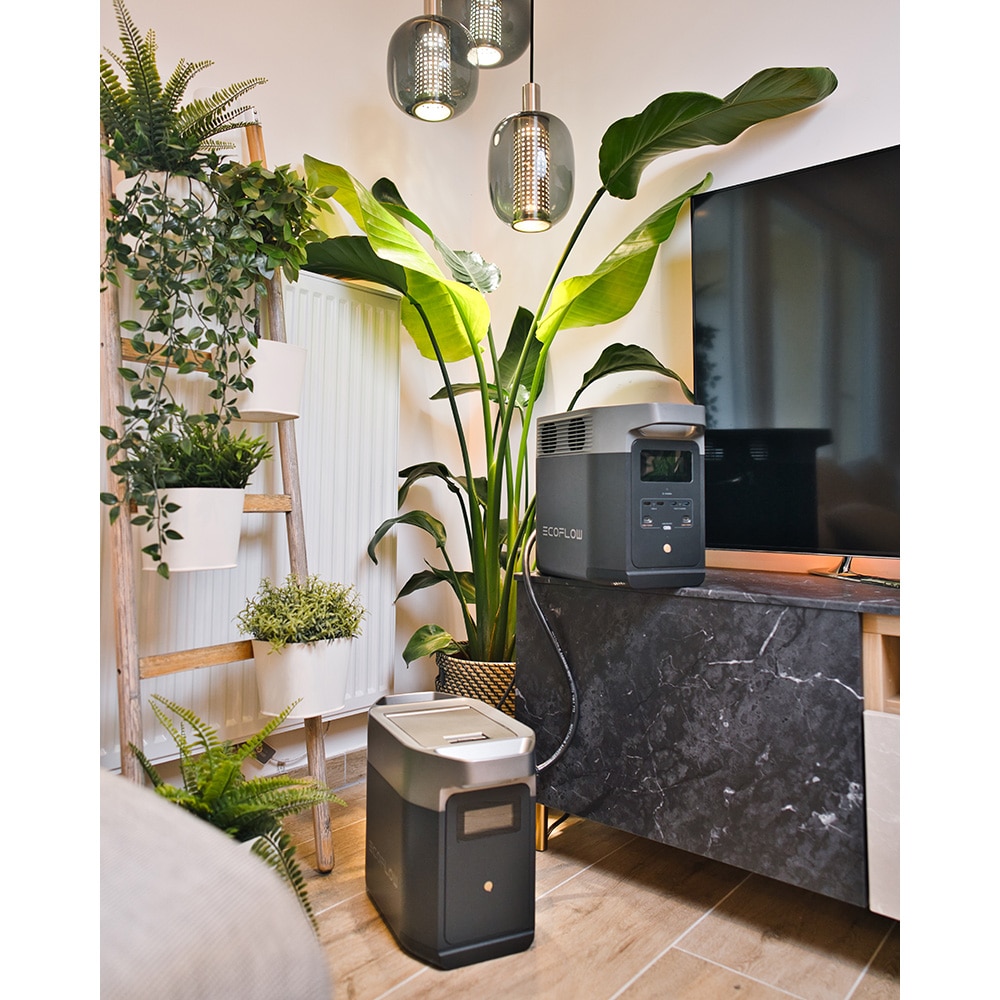 Baterie suplimentara ECOFLOW Delta 2, 1024Wh, 1800W, USB A, USB C, negru