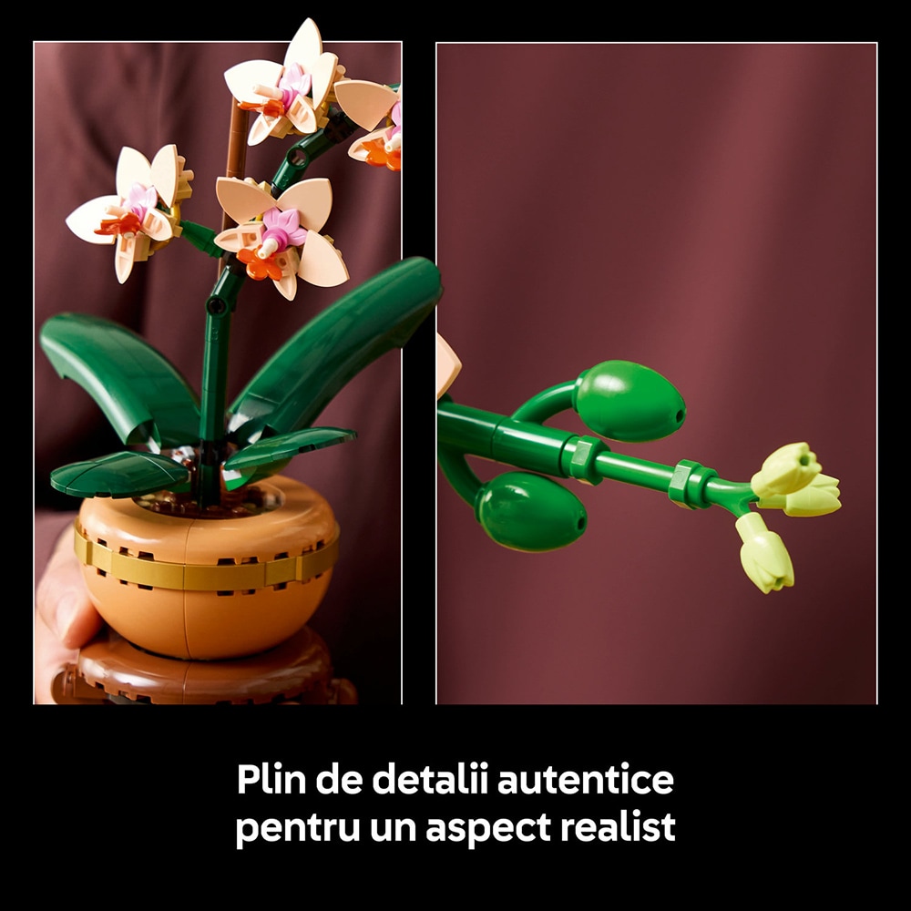 LEGO Botanicals: Mini orhidee 10343, 18 ani+, 274 piese