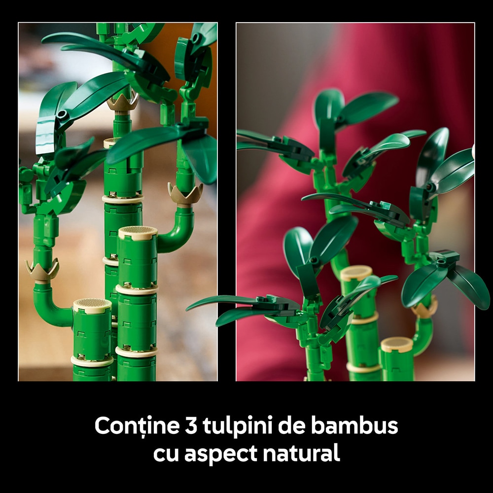LEGO Botanicals: Bambus norocos 10344, 18 ani+, 325 piese