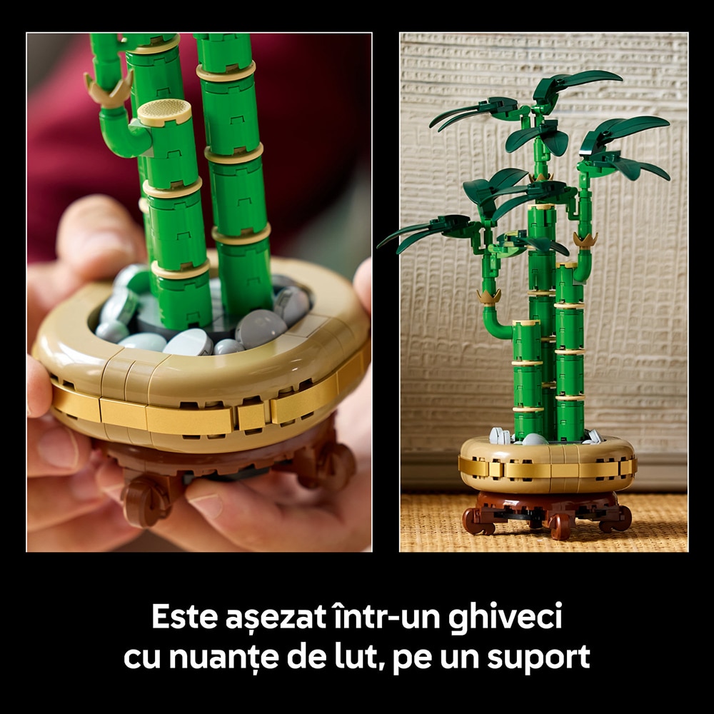 LEGO Botanicals: Bambus norocos 10344, 18 ani+, 325 piese