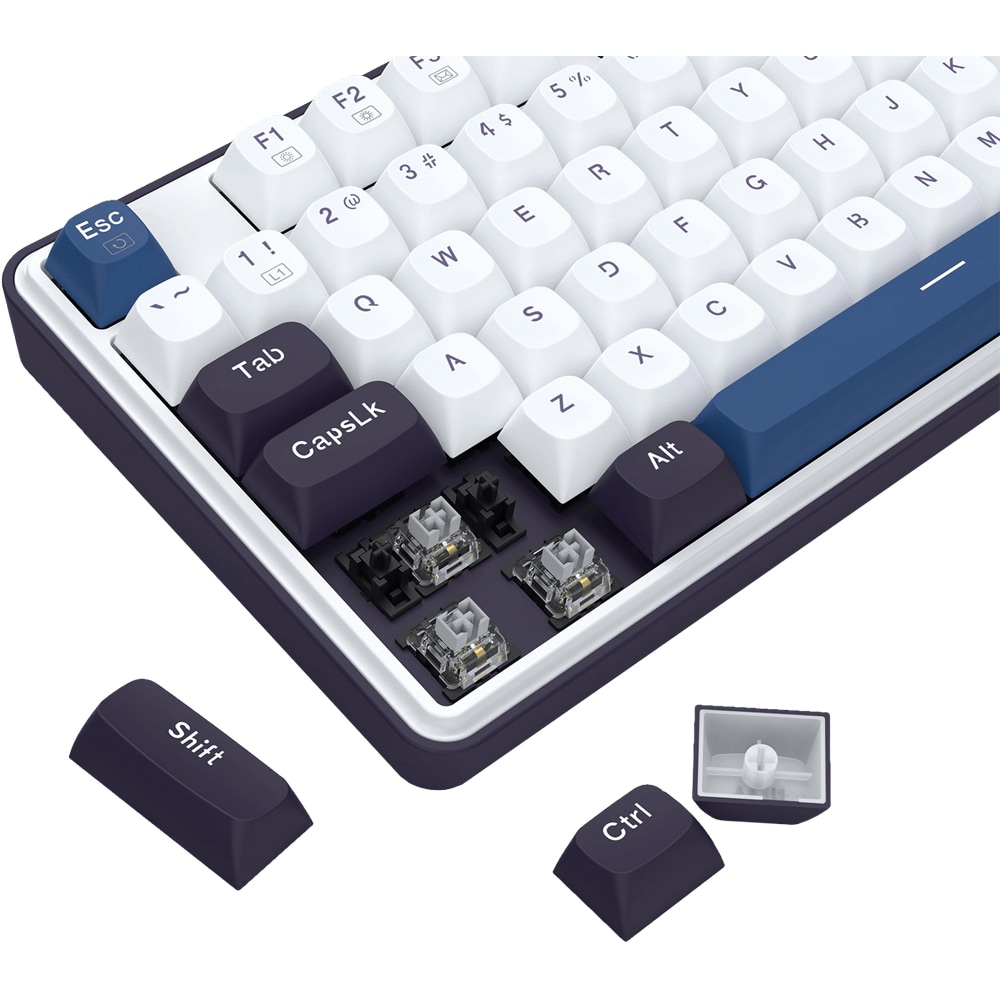 Tastatura Gaming mecanica REDRAGON Wyvern, USB, Layout US, alb-albastru