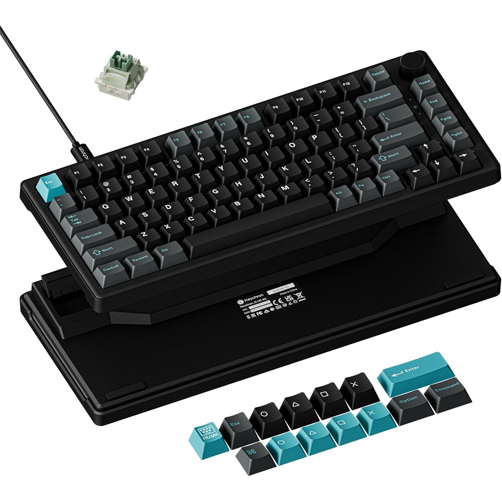 Tastatura Gaming mecanica KEYCHRON J2 HE 8K, switch-uri magnetice TMR, USB, Layout US, negru