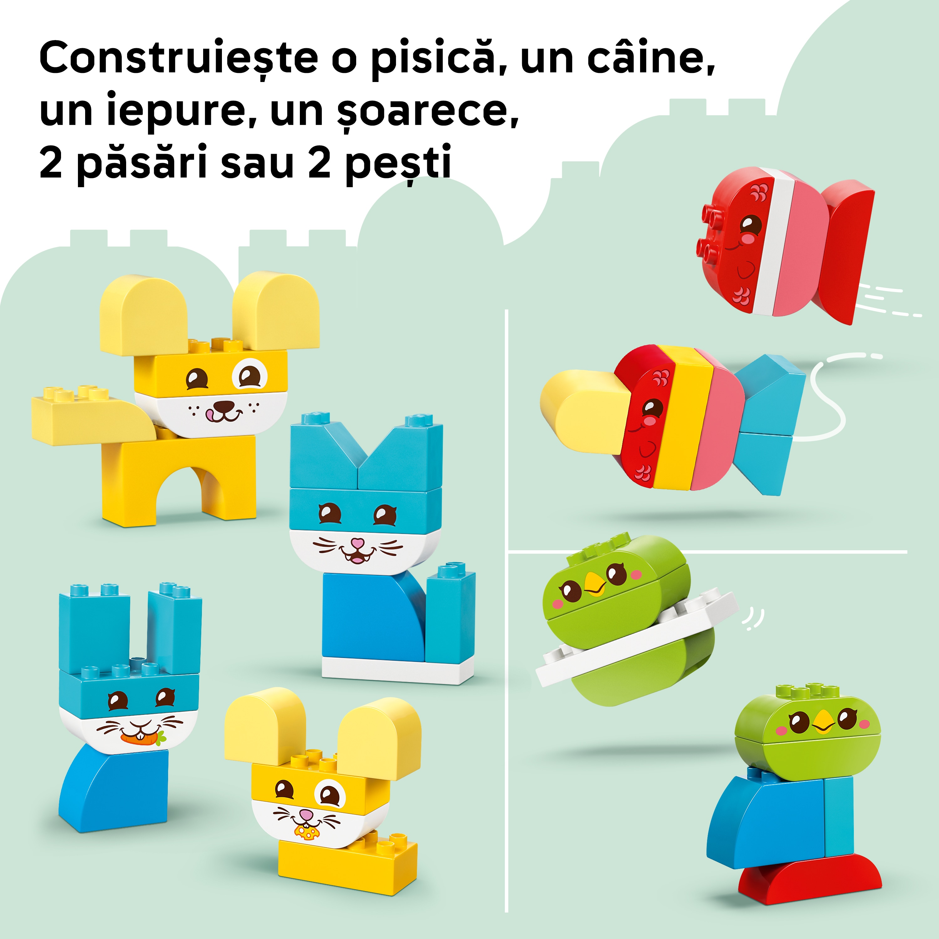 LEGO DUPLO: Animalute de companie creative 3in1 10477, 18 luni+, 24 piese