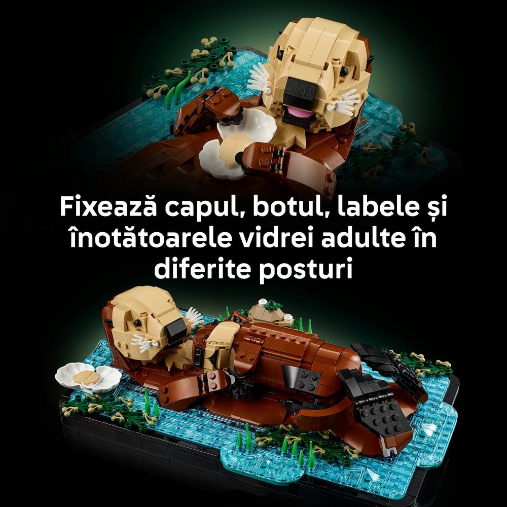 LEGO Ideas: Vidre plutind pe apa 21366, 18 ani+, 1234 piese