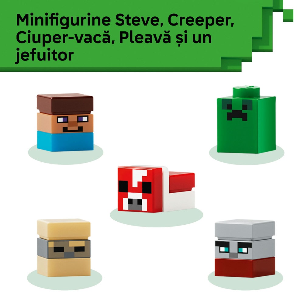 LEGO Minecraft: Minibiomuri 21589, 12 ani+, 797 piese