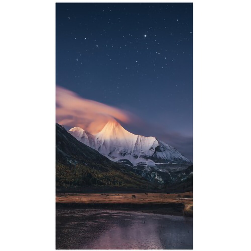 Display profesional SAMSUNG VMC-R LH55VMCRBGBXEN, 55", Full HD, 60 Hz, negru