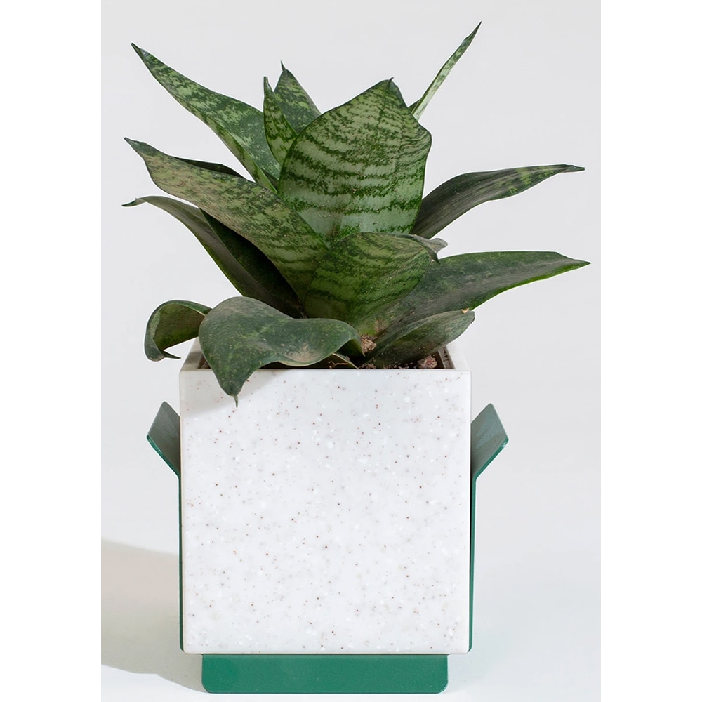 Suport ghiveci flori SPIN Fliss, 17 x 17 x 14.7 cm, verde