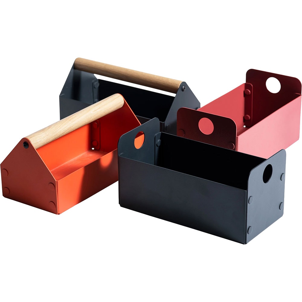 Cutie depozitare Intact, 20 x 10 x 10 cm, rosu