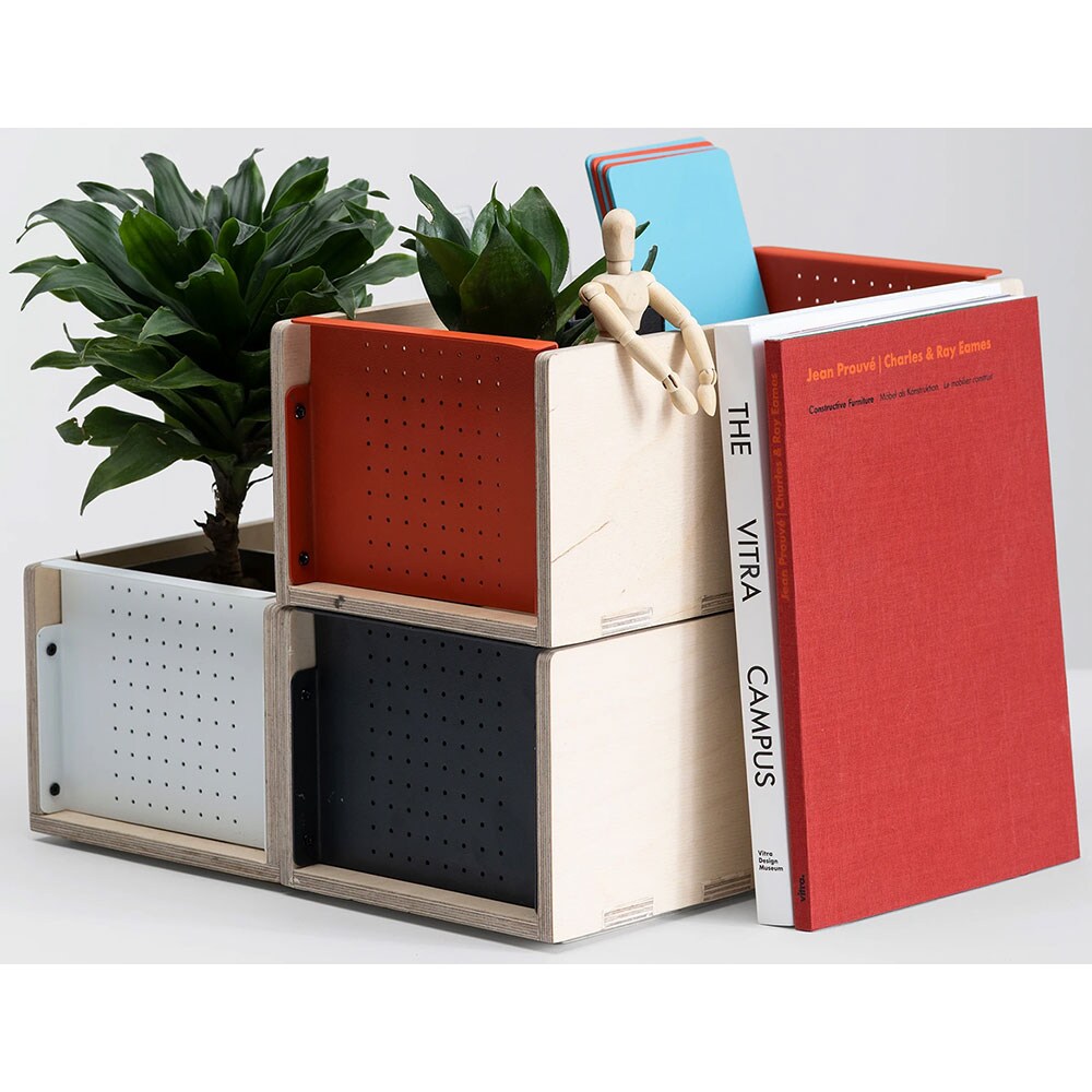 Cutie depozitare Boxxit, 30 x 15 x 12.3 cm, rosu