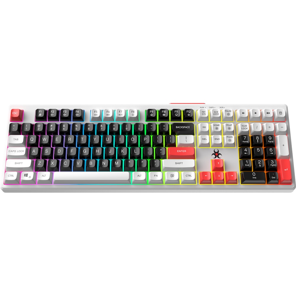 Tastatura Gaming Wireless MYRIA MY7533, USB, Layout US, multicolor