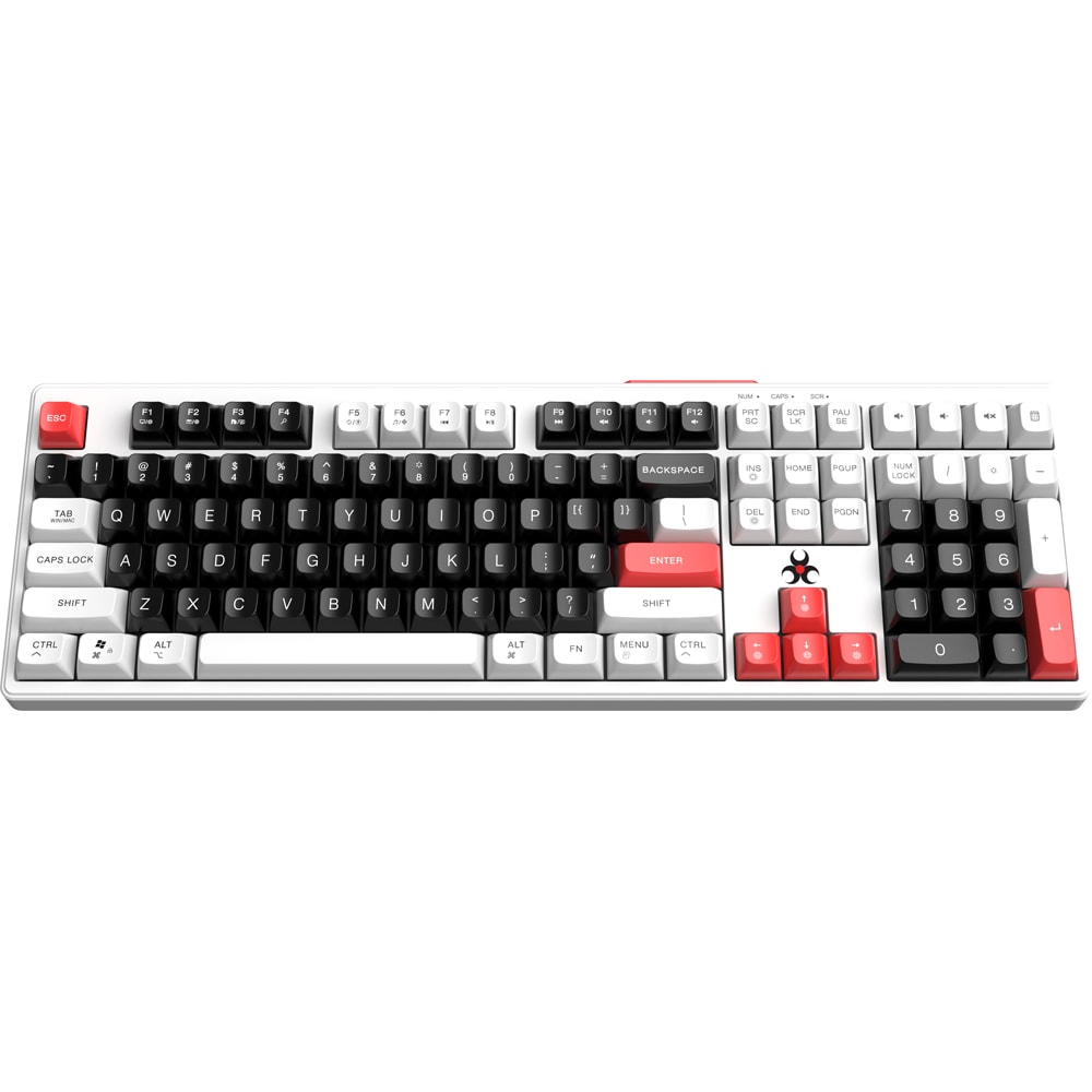 Tastatura Gaming Wireless MYRIA MY7533, USB, Layout US, multicolor