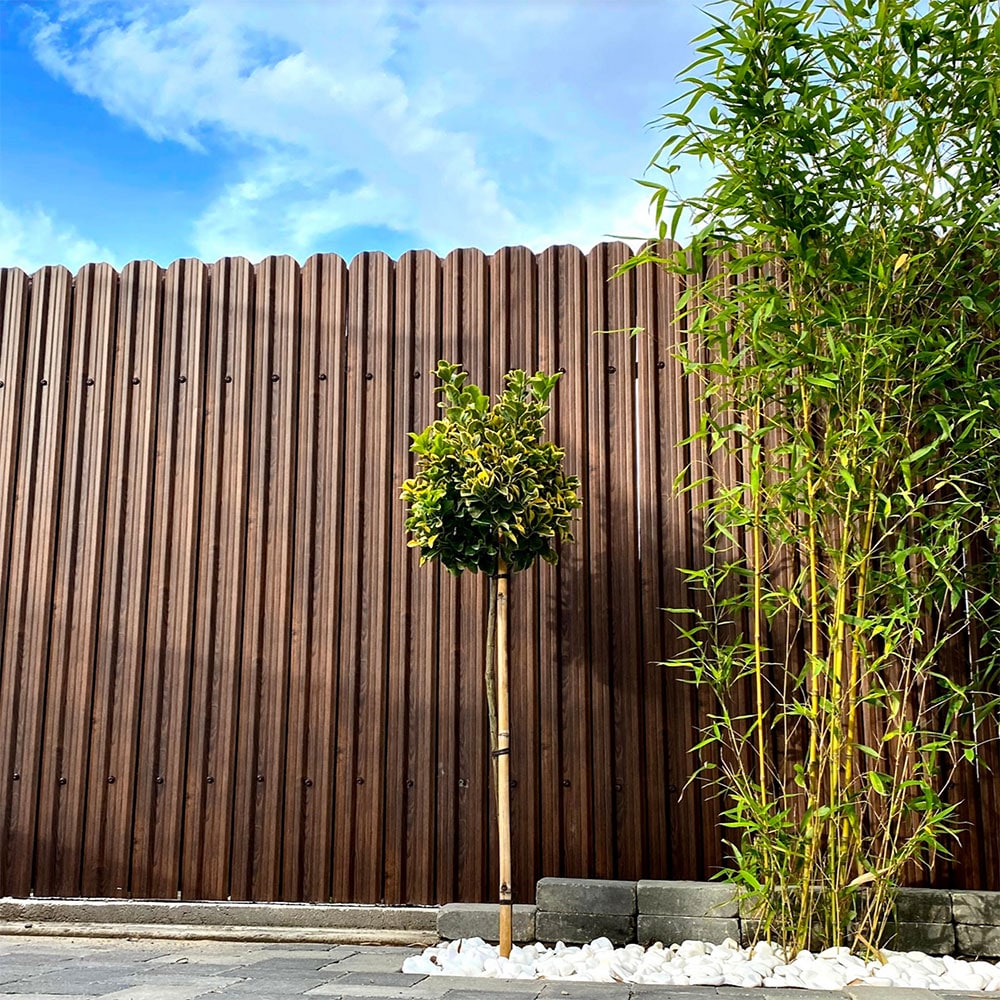 Sipca metalica gard Tisa, 11.5 x 170 cm, maro, 25 bucati