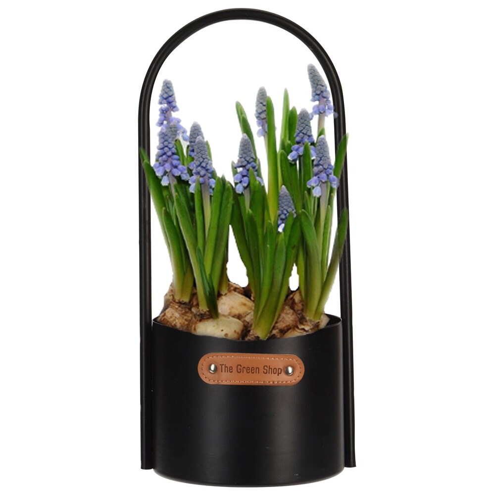 Ghiveci flori KI HZ1962000, metal, 14.5 x 9.5 x 30 cm, negru