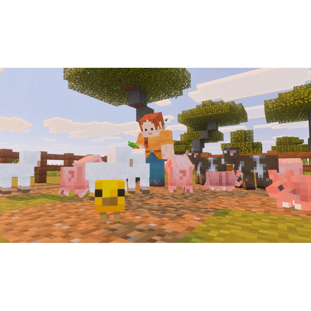 Joc Minecraft Nintendo Switch 2 (Game-Key Card)