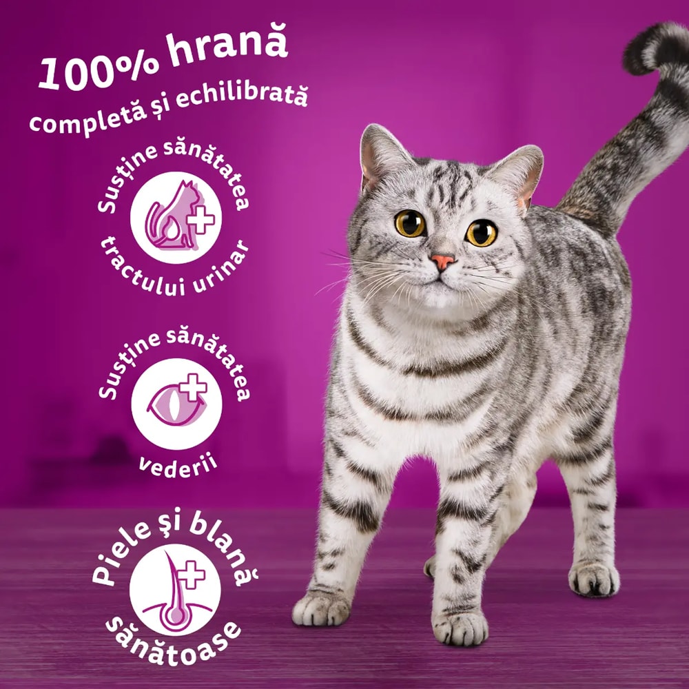 Hrana uscata pentru pisici WHISKAS, Adult, Pui, 300 g