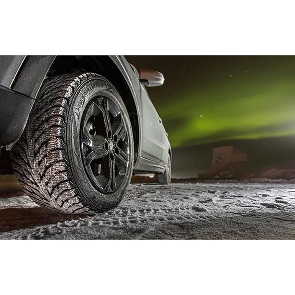Anvelopa iarna NOKIAN WR D4 205/55R16 91H