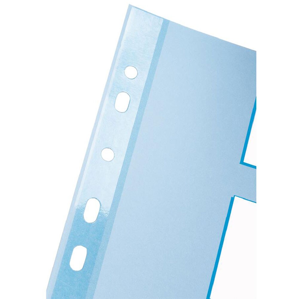 Separator ESSELTE SL100194, 225 x 297, index laminat, 11 perforatii, format A4, alb