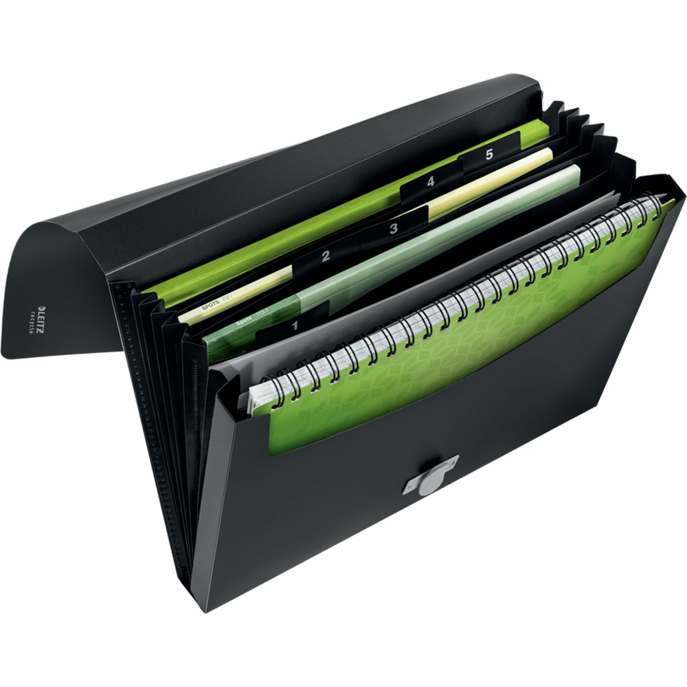 Mapa documente LEITZ Recycle SL462495, A4, plastic, negru