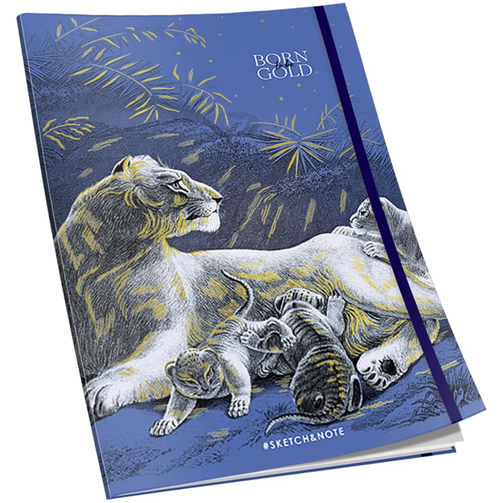 Caiet pentru scoala RTC, liniatura punctata A5, 80 file, legatura cusuta, multicolor