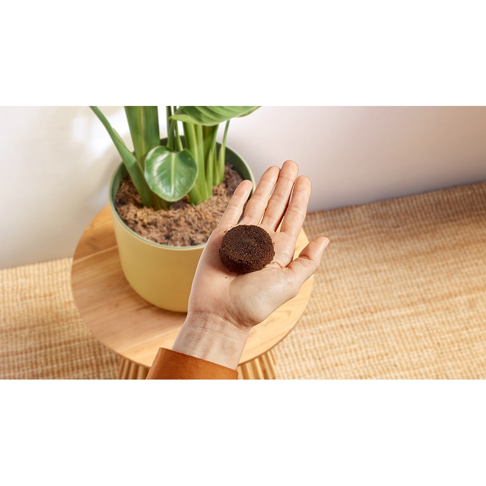 Espressor manual PHILIPS Baristina BAR300/60, 1.2l, 1550W, 16 bar, negru