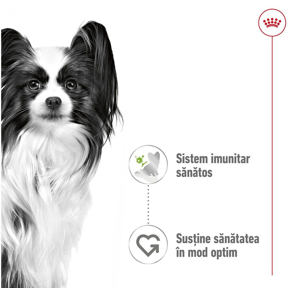 Hrana umeda pentru caini ROYAL CANIN SHN X-Small, Adult, 85 g