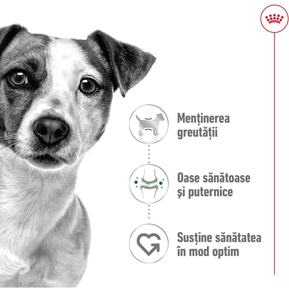 Hrana umeda pentru caini ROYAL CANIN SHN Mini, Adult, 195 g