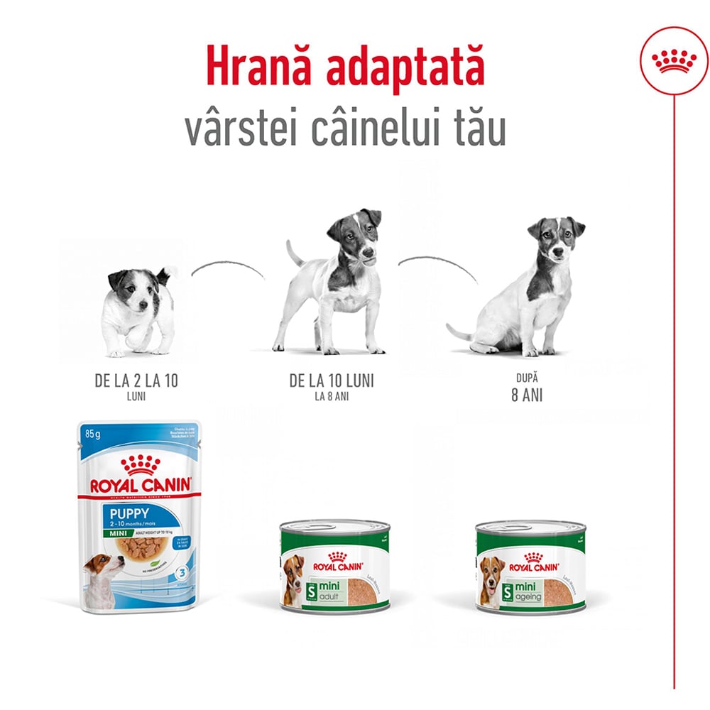 Hrana umeda pentru caini ROYAL CANIN SHN Mini, Adult, 195 g