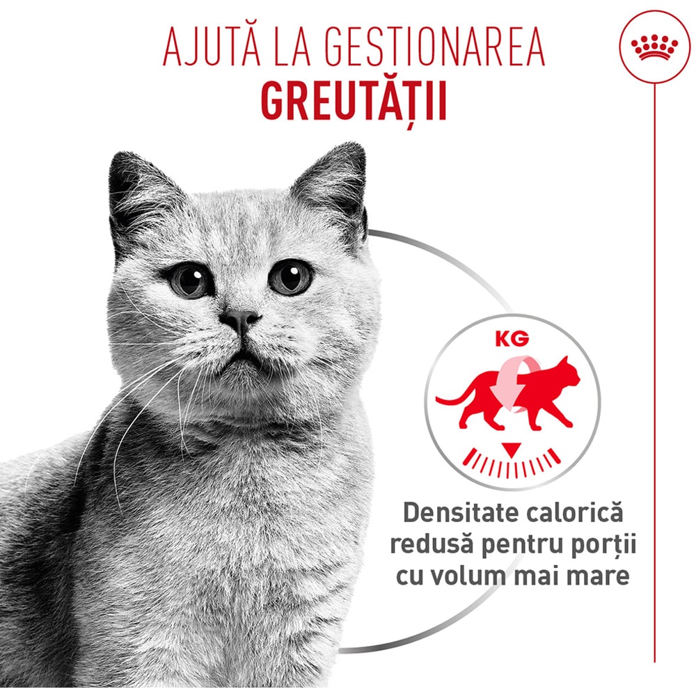 Hrana umeda pentru pisici ROYAL CANIN FCN Light Weight Care Air, Adult, 85 g