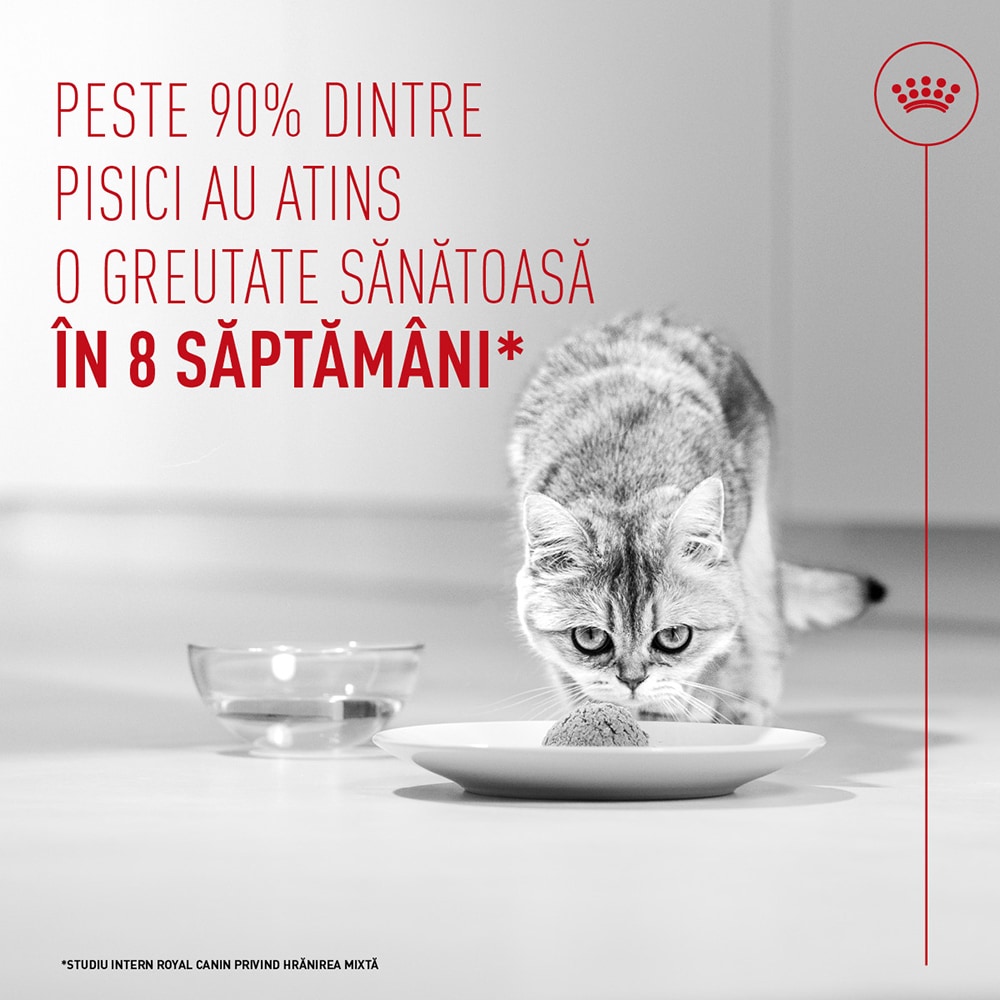 Hrana umeda pentru pisici ROYAL CANIN FCN Light Weight Care Air, Adult, 85 g