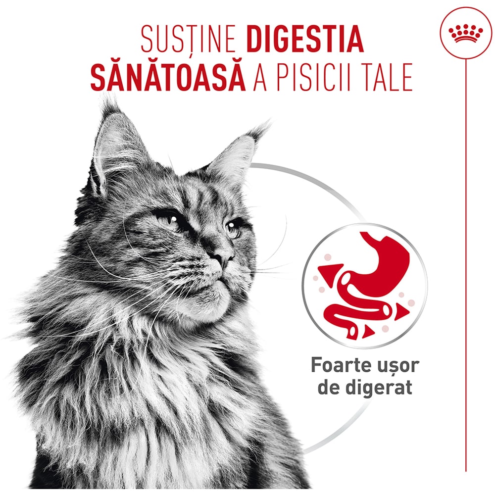 Hrana umeda pentru pisici ROYAL CANIN FCN Digestive Care Air, Adult, 85 g
