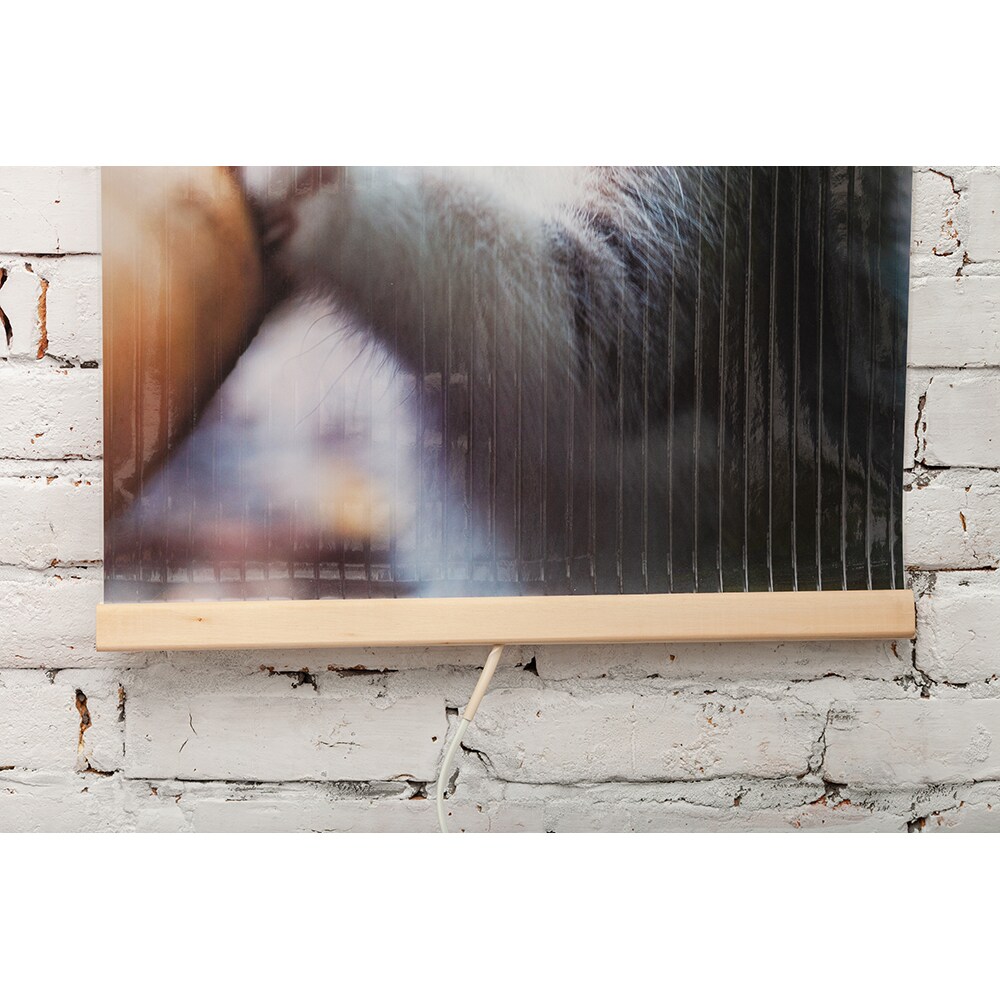 Panou radiant de perete TRIO Kittens, 2 trepte de putere, 420W, multicolor