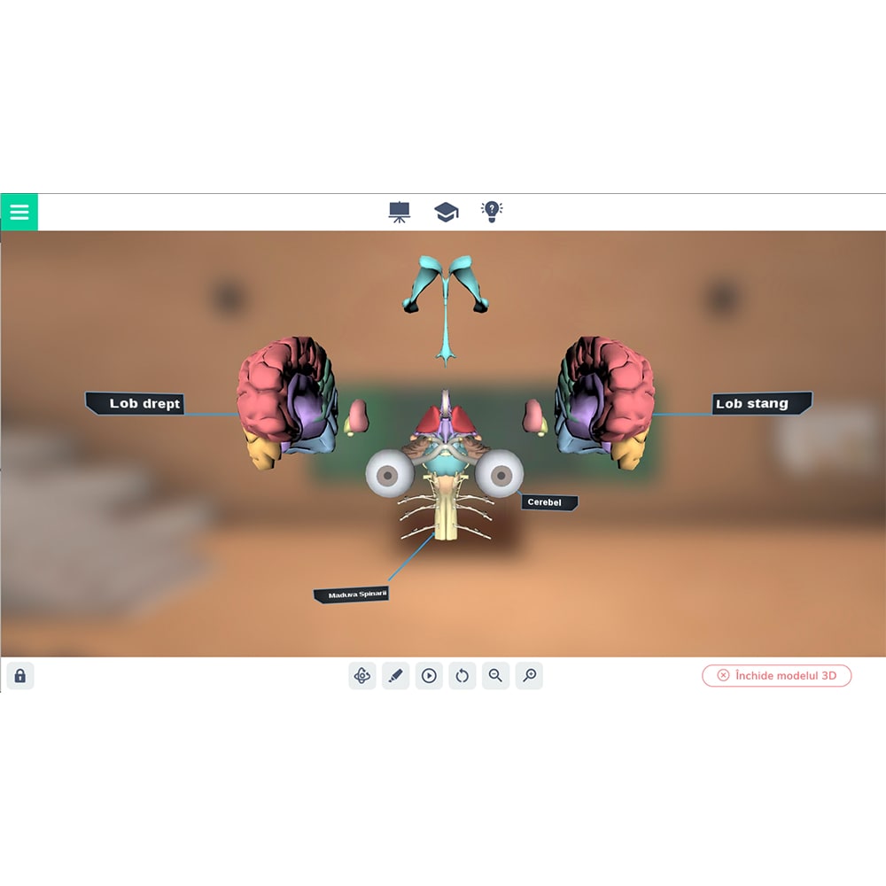 Licenta sKOOLvers Laboratorul Digital, 3 ani, multi PC