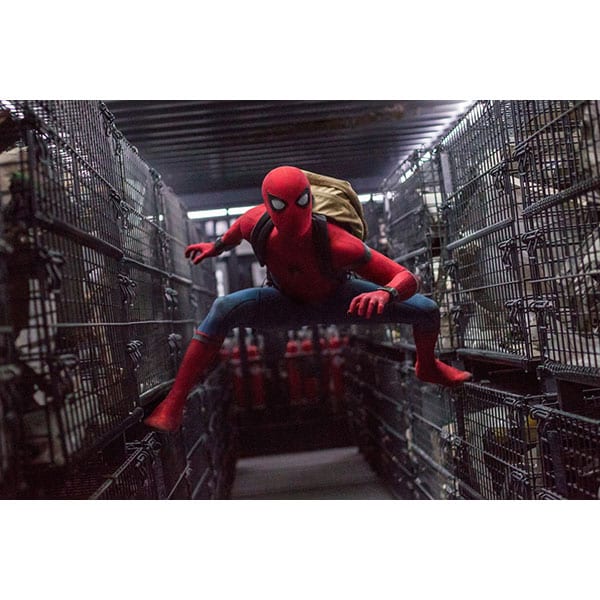 Omul-Paianjen: Intoarcerea acasa DVD