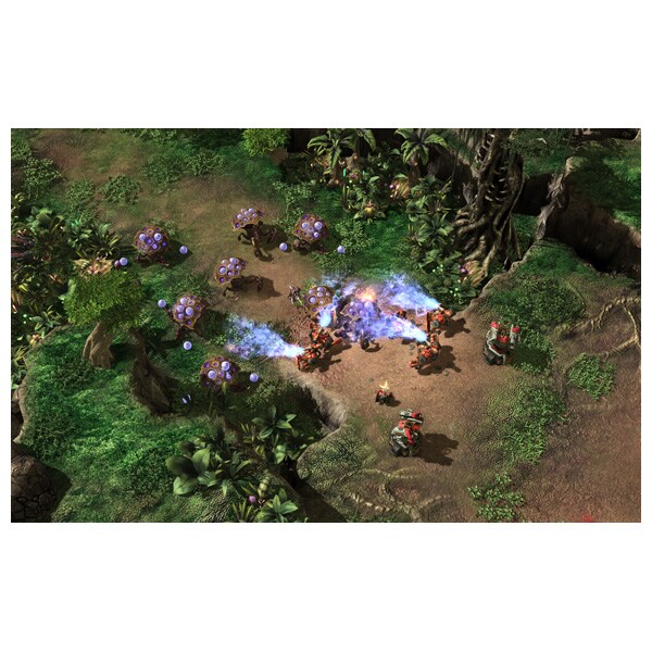 StarCraft II: Heart of the Swarm PC