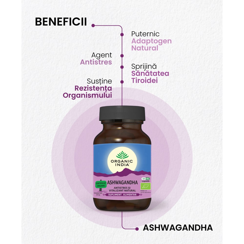Supliment alimentar Ashwagandha Antistres, 60 capsule, ORGANIC INDIA