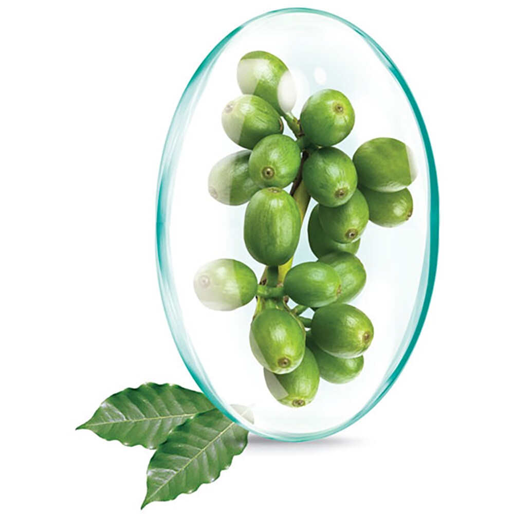 Supliment alimentar Pachet Green Coffe Extract, 180 capsule, ROTTA NATURA