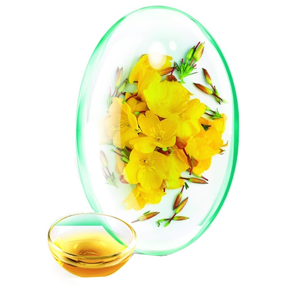 Supliment alimentar Evening Primrose + Vitamina E, 90 capsule, ROTTA NATURA